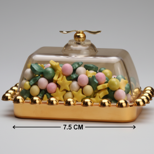 ACRYLIC PEARL GOLDEN PLATE RECTANGLE SHAPE 7.5*4.5 CM 50 GM (1 PC)